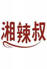 湘辣叔 