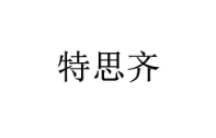 特思齐 
