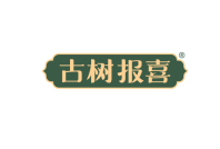 古树报喜 