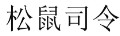 [31类]松鼠司令