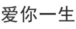 [31类]爱你一生