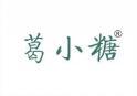 [31类]葛小糖