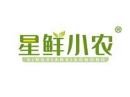星鲜小农 