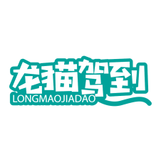 龙猫驾到 