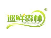 巡鲜森林 