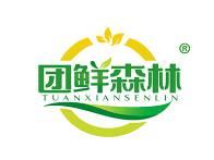 团鲜森林 