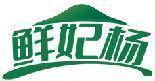 鲜妃杨 