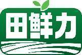 田鲜力 