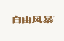 [31类]自由风暴