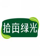 拾亩绿光 