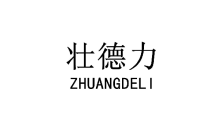 壮德力 