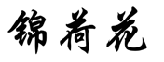 锦荷花 