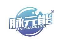 脉元能 