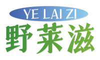 野莱滋 