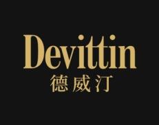 德威汀
DEVITTIN 