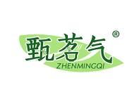 甄茗气 