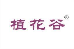 植花谷 