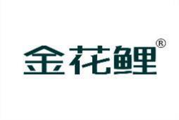 金花鲤 