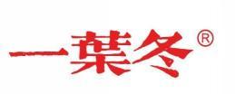 一叶冬 