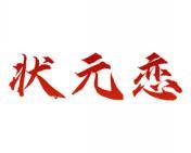 状元恋 