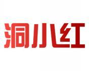 洞小红 