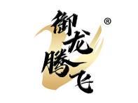 御龙腾飞 