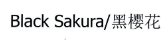 黑樱花 BLACK SAKURA 