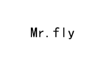 MR.FLY 