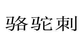 骆驼刺 