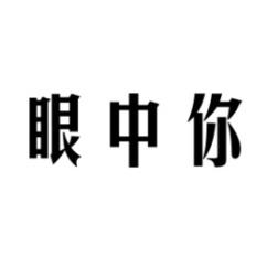 眼中你 