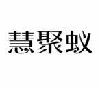 慧聚蚁 