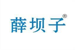 薛坝子 