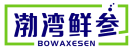 渤湾鲜参BOWAXESEN 