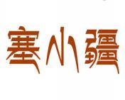 塞小疆 