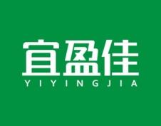 宜盈佳 