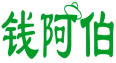 钱阿伯 