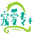 宠爱专+ 