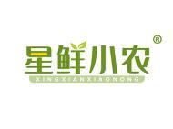 星鲜小农 