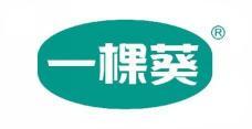 一棵葵 
