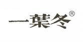 一叶冬 