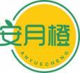 安月橙ANYUECHENG 