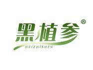 黑植参 