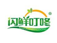 闪鲜叮咚 