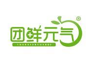 团鲜元气 