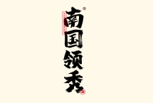 南国领秀 