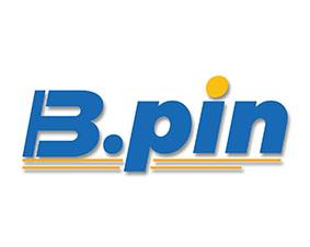 B.PIN 