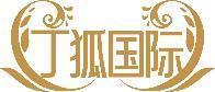 丁狐国际 