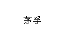 茅孚 
