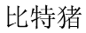 比特猪 