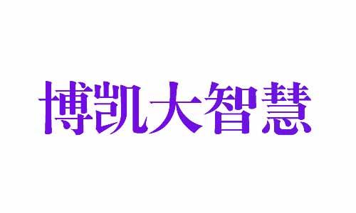博凯大智慧 